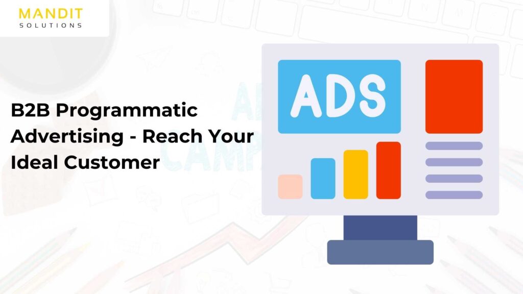 B2B Programmatic Advertising – Reach Your Ideal Customer